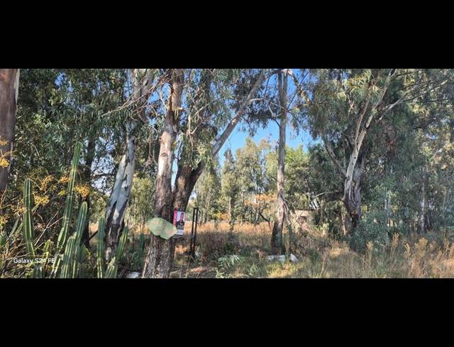 FARM FOR SALE IN MIDVAAL
